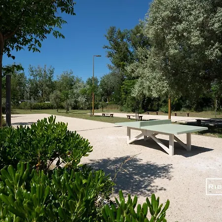 Villa Riboleys - T3 A 400m De La Avec Piscine *